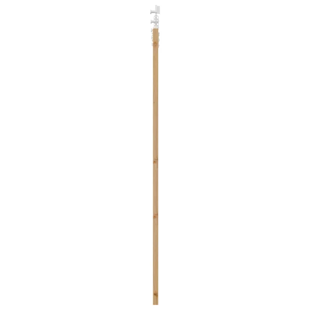 vidaXL Schiebetür Natur 61 x 198,5 cm Massivholz Kiefer und Glas