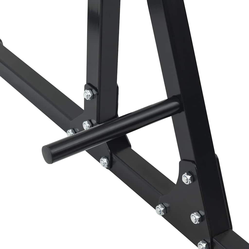 vidaXL Klimmzugstation Schwarz 100,5 x 102 x 234,5 cm