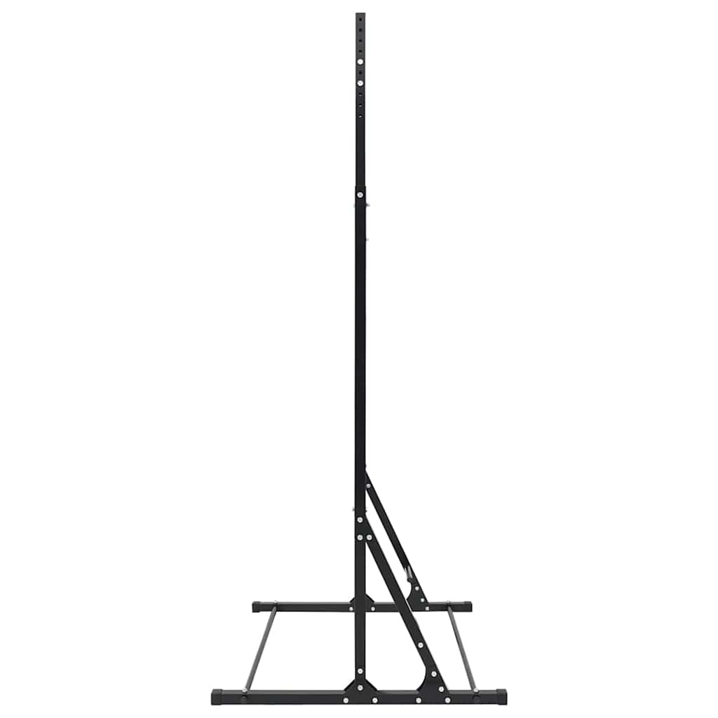 vidaXL Klimmzugstation Schwarz 100,5 x 102 x 234,5 cm