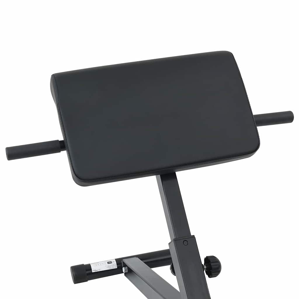 vidaXL Hyperextensionsbank Schwarz 100,5 x 70 x 78 cm