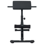 vidaXL Hyperextensionsbank Schwarz 100,5 x 70 x 78 cm