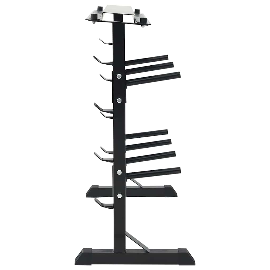 vidaXL Hantel Rack Schwarz 99 x 45 x 95,5 cm Pulverbeschichteter Stahl