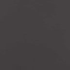 vidaXL Raseneinfassung 50 pcs Schwarz 100 x 0,05 x 15 cm