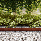 vidaXL Raseneinfassung 20 pcs Braun 100 x 0,05 x 20 cm Wetterfeststahl