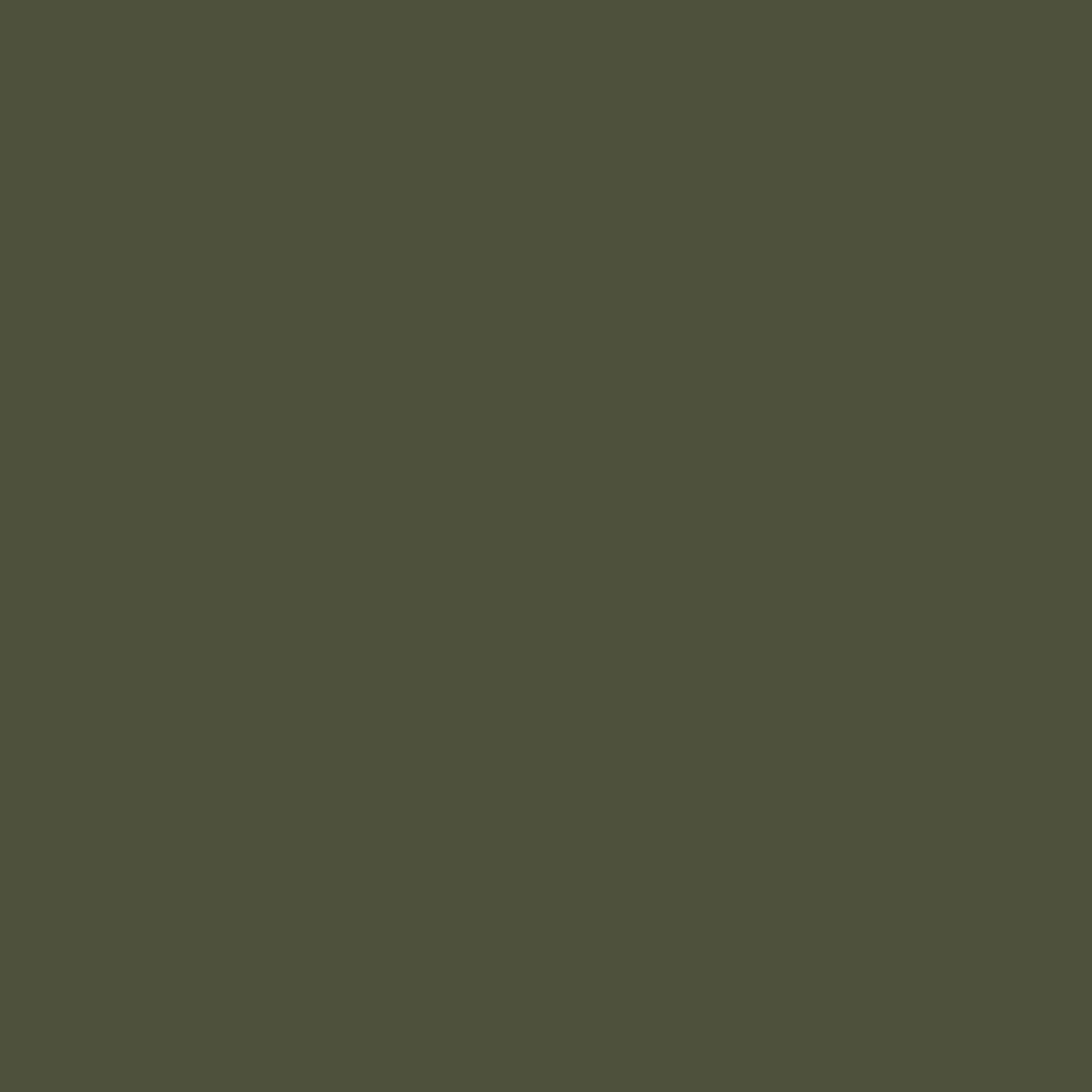 vidaXL Raseneinfassung 50 pcs Olive Grün 100 x 0,05 x 20 cm