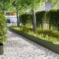 vidaXL Raseneinfassung 30 pcs Olive Grün 100 x 0,05 x 30 cm