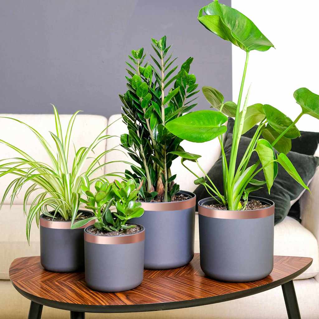 vidaXL Kupferband zum Schneckenschutz 6 pcs Kupfer 30 mm x 20 m Kupfer