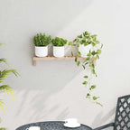 vidaXL Wandhängeregal Natur 62 x 10 x 12,5 cm Massivholz aus Walnuss