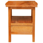 vidaXL Nachttisch Natur 40 x 40 x 45,5 cm Massives Mahagoni Holz