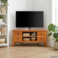 vidaXL TV-Schränk Natur 100 x 40,5 x 46 cm Massives Mahagoni Holz