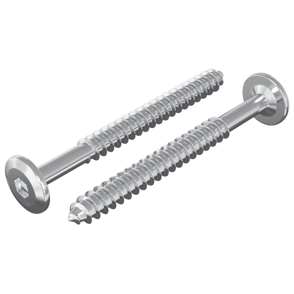 vidaXL Holzschrauben 2 pcs Silber M6 x 70 mm Stahl