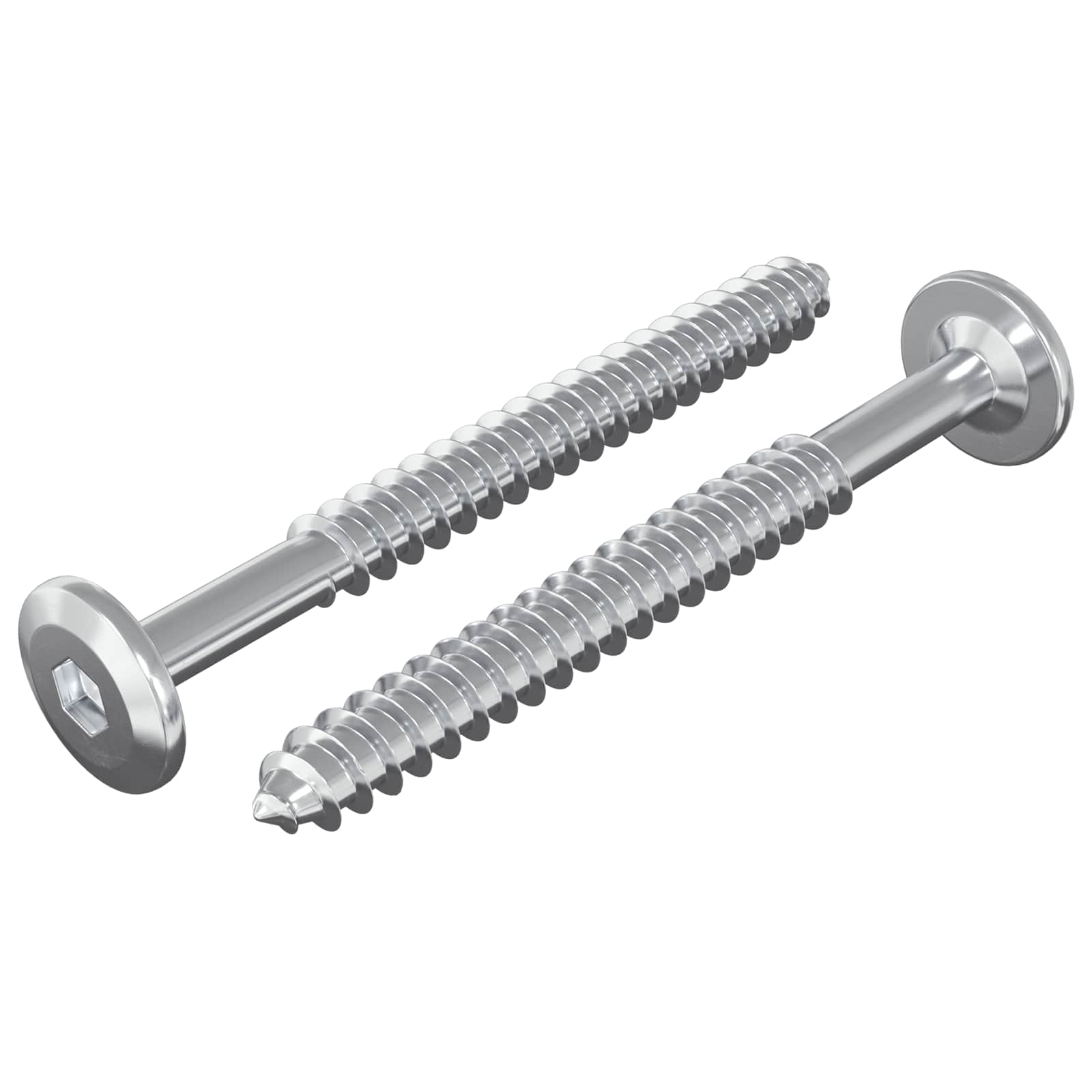 vidaXL Holzschrauben 2 pcs Silber M6 x 70 mm Stahl