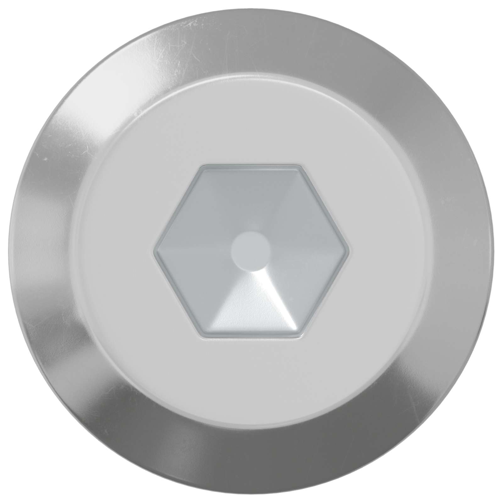 vidaXL Schraube 1000 pcs Silber M6 x 100 mm Stahl