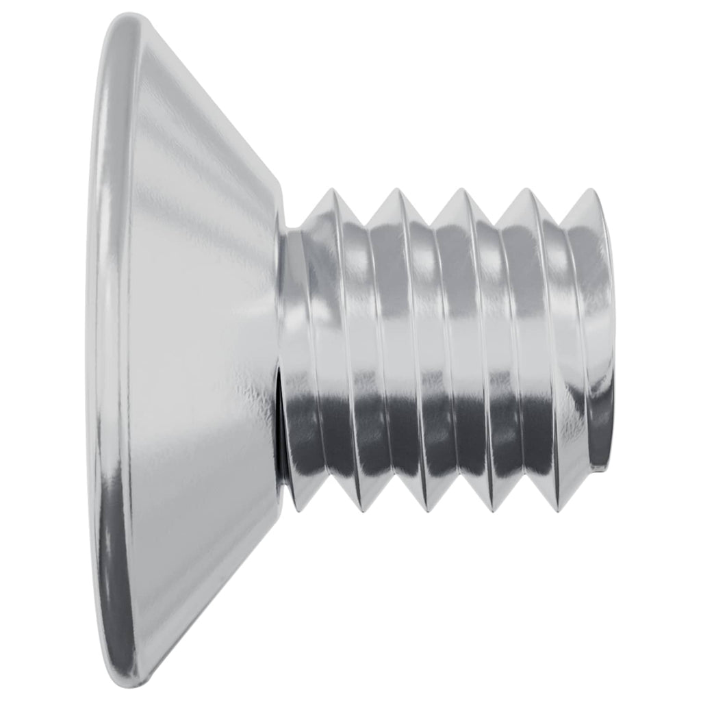 vidaXL Senkkopfschrauben 2 pcs Silber M4 x 6 mm Stahl