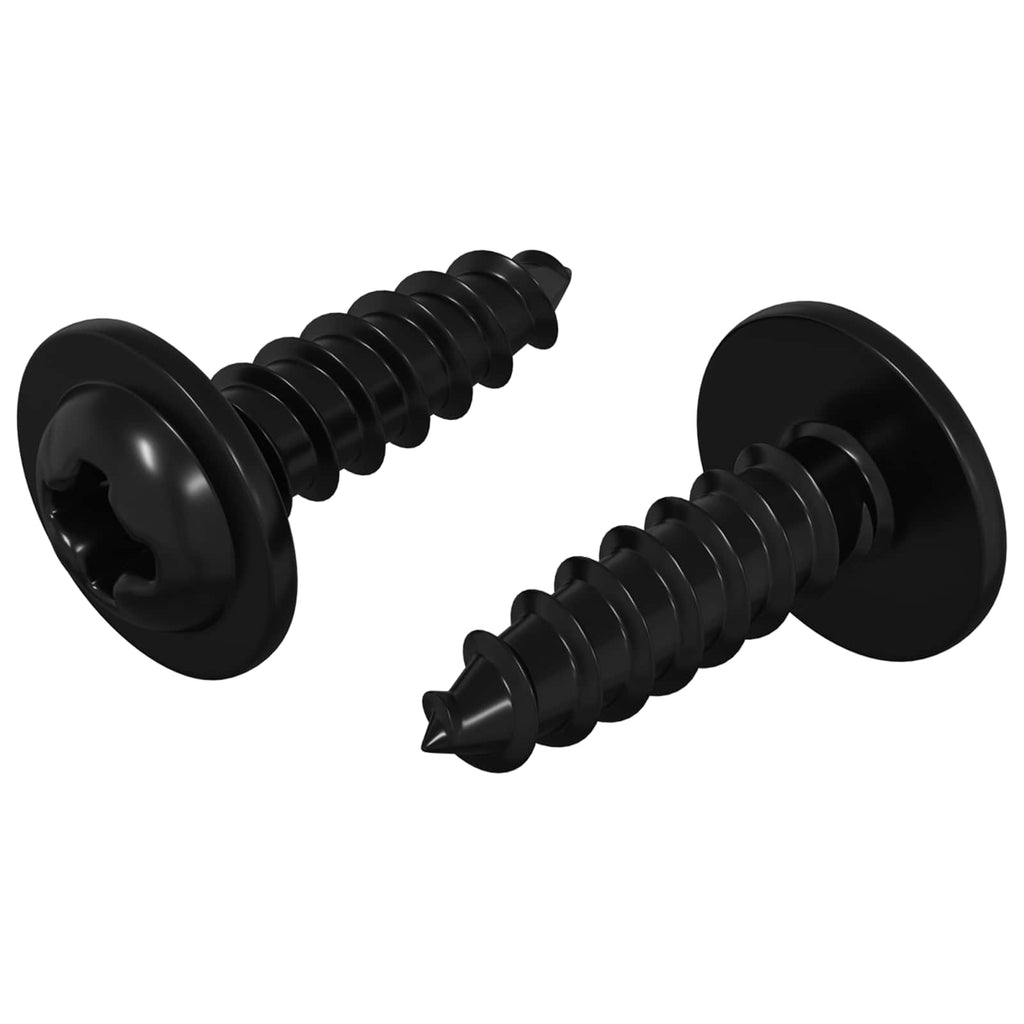vidaXL Selbstschneidender Nagel 2 pcs Schwarz 3,5 x 12 mm Eisen