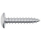 vidaXL Selbstschneidender Nagel 10976 pcs Zink-beschichtet Stahl
