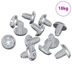 vidaXL Schloss-Schrauben 19149 pcs Silber Eisen