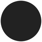 vidaXL Selbstklebende Schraubenabdeckung 2 pcs Schwarz Ø 20 x 0,5 mm