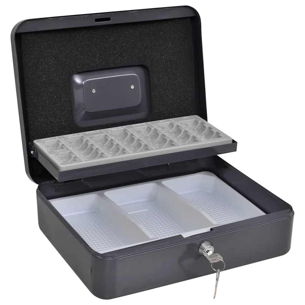 vidaXL Geldbox mit Schloss Dunkelgrau 30 x 24 x 9 cm Stahl