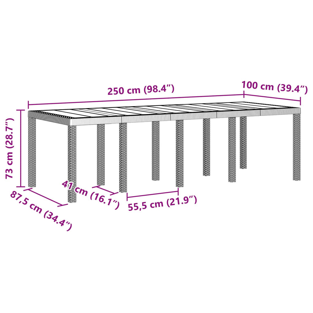 vidaXL Gartentisch Anthrazit 250 x 100 x 73 cm Poly-Rattan