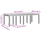 vidaXL Gartentisch Anthrazit 250 x 100 x 73 cm Poly-Rattan