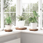 vidaXL Pflanzenhocker 3 pcs Braun Mahagoni Holz