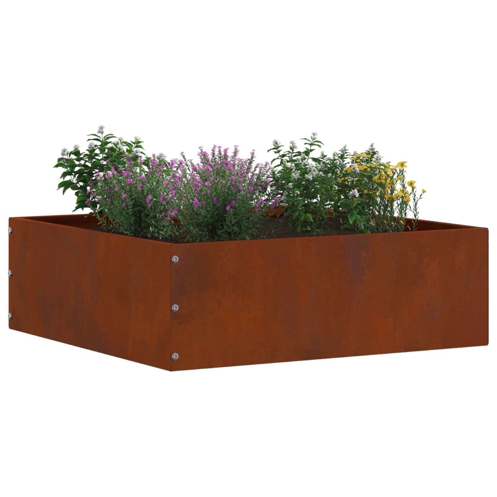vidaXL Raseneinfassung 6 pcs Rostig 40 x 40 x 13 cm Wetterfeststahl