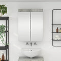 vidaXL Badezimmerspiegelschrank TULUM Beton Grau 60 x 16,5 x 78 cm