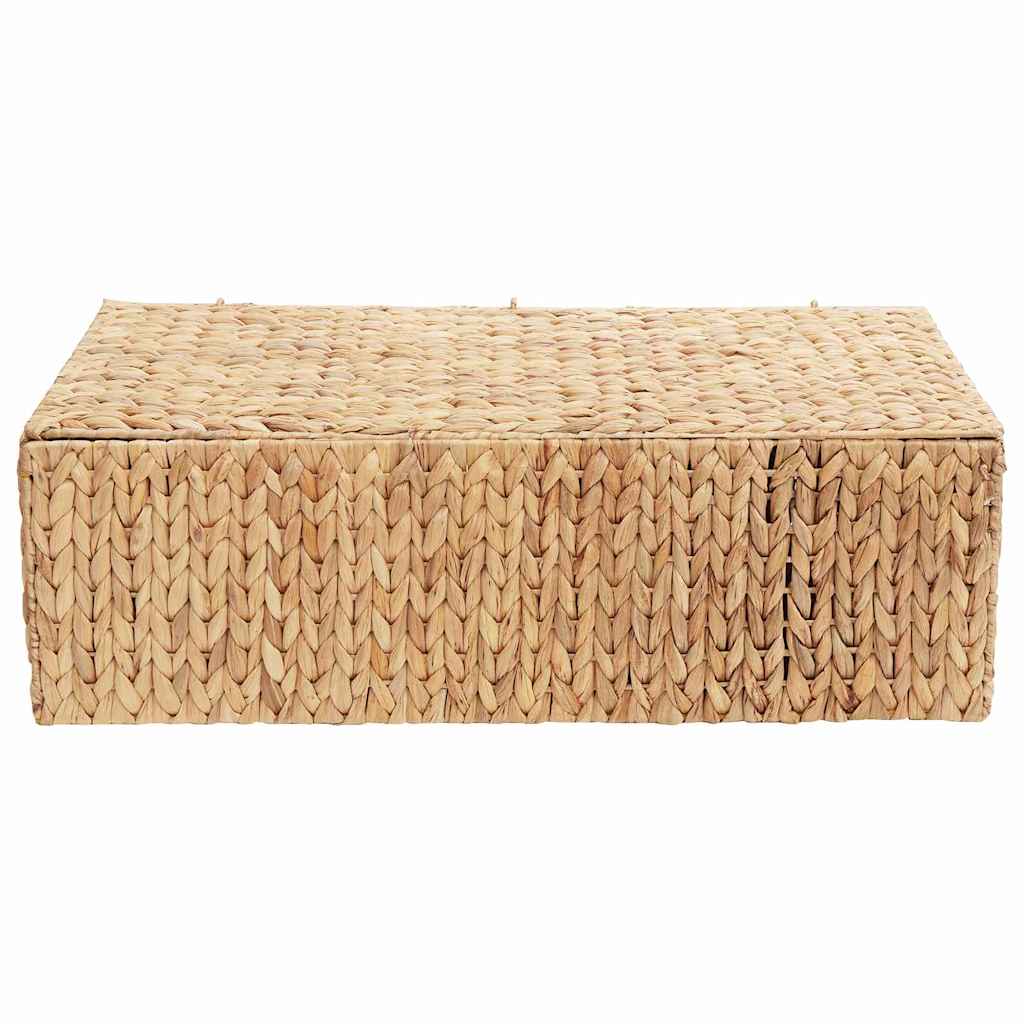 vidaXL Aufbewahrungsbox Natur 60 x 38 x 20 cm Wasserhyazinthe