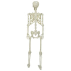 vidaXL Halloween Skelett Weiß 155 x 38,5 cm Polypropylen