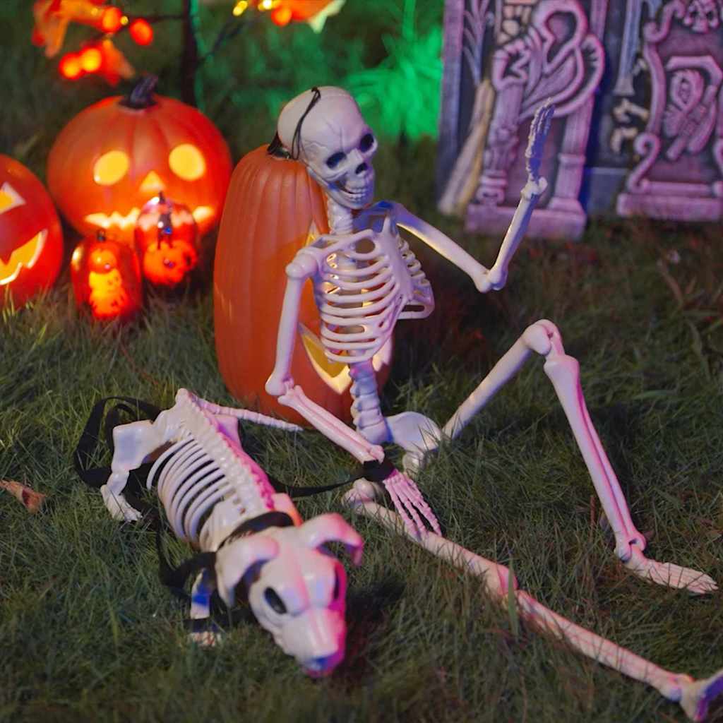 vidaXL Halloween Dekoskelett 2 pcs Weiß Polypropylen
