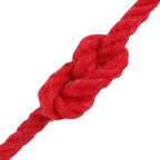 vidaXL Baumwollseil 25 m 6 Rot 100% Baumwolle
