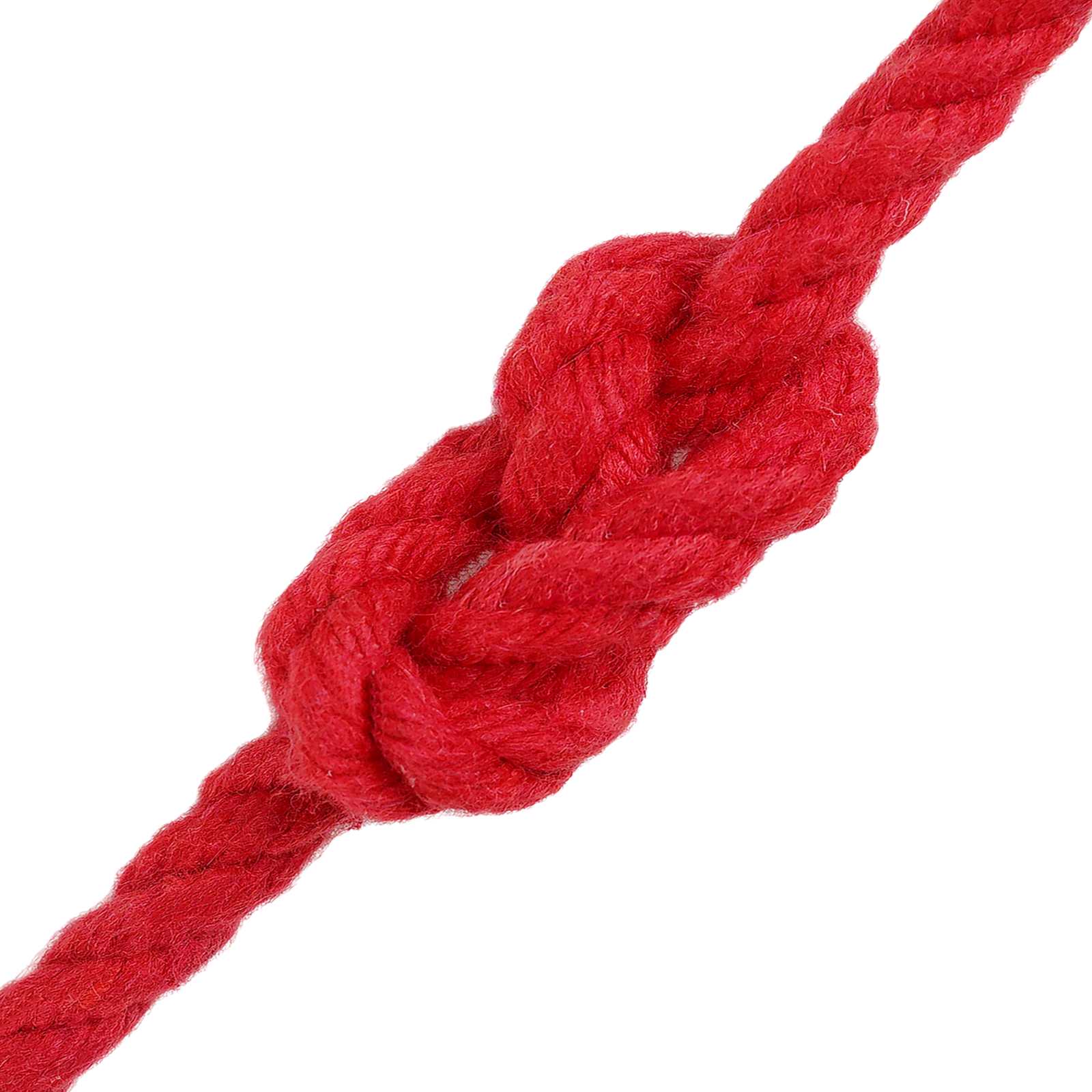 vidaXL Baumwollseil 25 m 6 Rot 100% Baumwolle