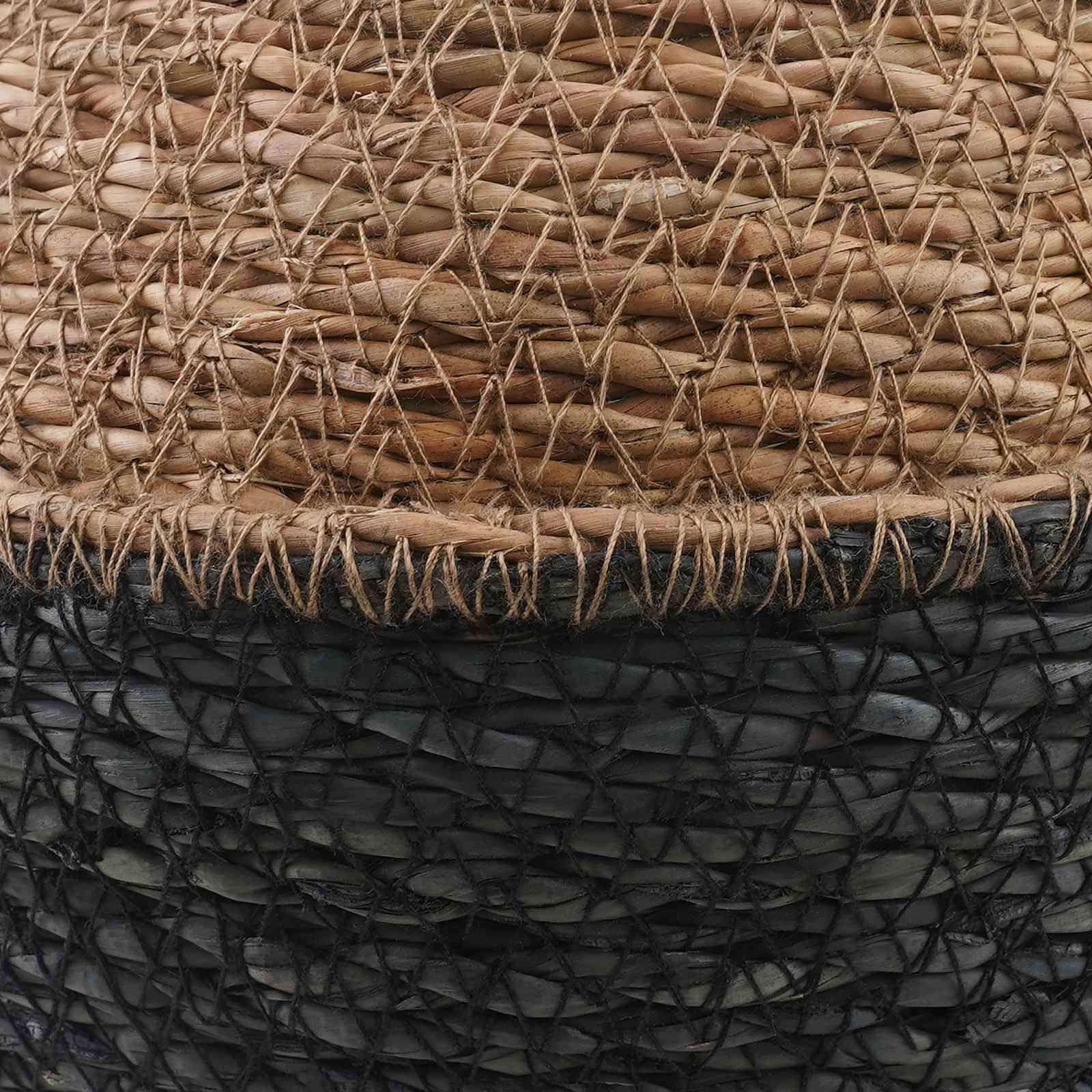 vidaXL Pflanzenkübel mit Griffen 2 pcs Schwarz Ø 22 x 20 cm