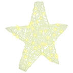 vidaXL 3D Stern mit 50 LEDs Warmweiß 55 x 53.5 x 10 cm Acryl
