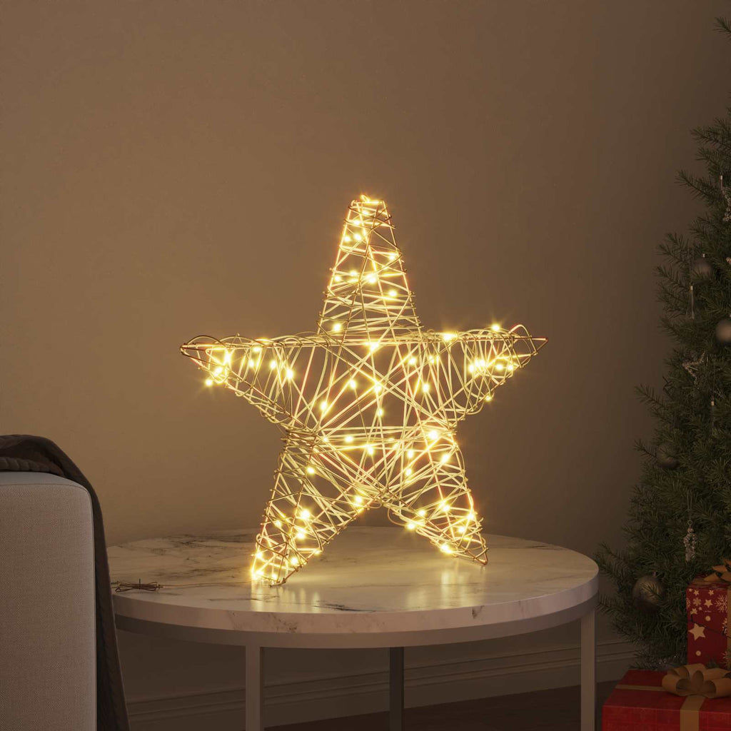 vidaXL 3D Stern mit 50 LEDs Warmweiß 55 x 52,5 x 9 cm Rattan