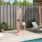 vidaXL Outdoor-Dusche Natur 75 x 76 x 217 cm Massives Douglasienholz