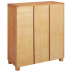 vidaXL Schrank mit Regal mit Tür Braun 80 x 35 x 95 cm Holzwerkstoff