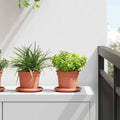 vidaXL Runder Blumentopf 24 pcs Ziegelrot Ø 12,5 x 10 cm Kunststoff