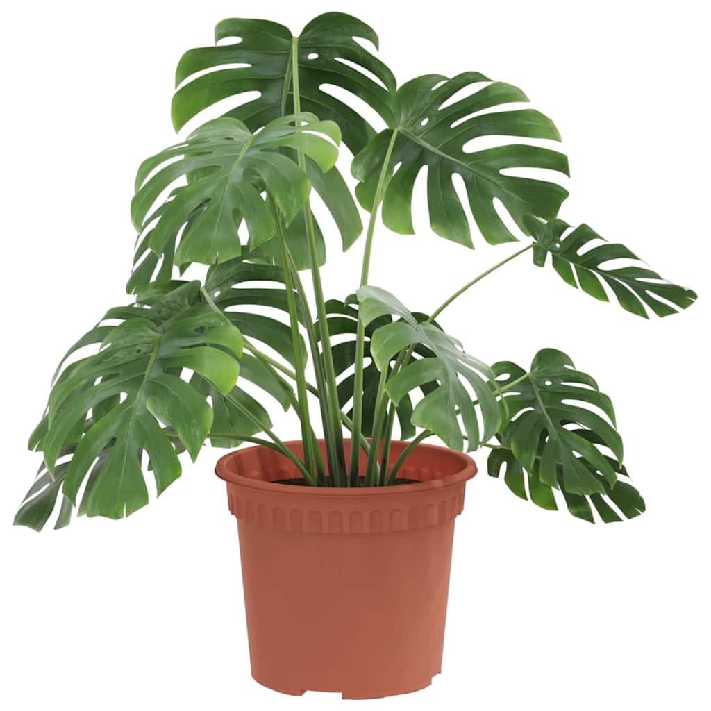 vidaXL Runder Blumentopf 24 pcs Ziegelrot Ø 12,5 x 10 cm Kunststoff