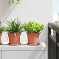 vidaXL Runde Blumenplatte 6 pcs Ziegelrot Ø 14 x 2 cm Kunststoff
