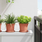 vidaXL Runde Blumenplatte 6 pcs Ziegelrot Ø 14 x 2 cm Kunststoff