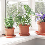 vidaXL Runde Blumenplatte 6 pcs Ziegelrot Ø 14 x 2 cm Kunststoff