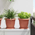 vidaXL Runde Blumenplatte 24 pcs Ziegelrot Ø 14 x 2 cm Kunststoff