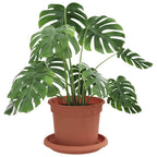 vidaXL Blumentöpfe 6 pcs Ziegelrot Ø 12,5 x 10 cm Kunststoff