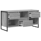 vidaXL TV-Schränk Graues Sonoma 100 x 36 x 49,5 cm Holzwerkstoff