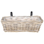 vidaXL Hängender Blumentopf Korb 2 pcs Grau 48 x 22 x 15 cm