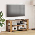 vidaXL TV-Ständer Altholz 100 x 40 x 50 cm