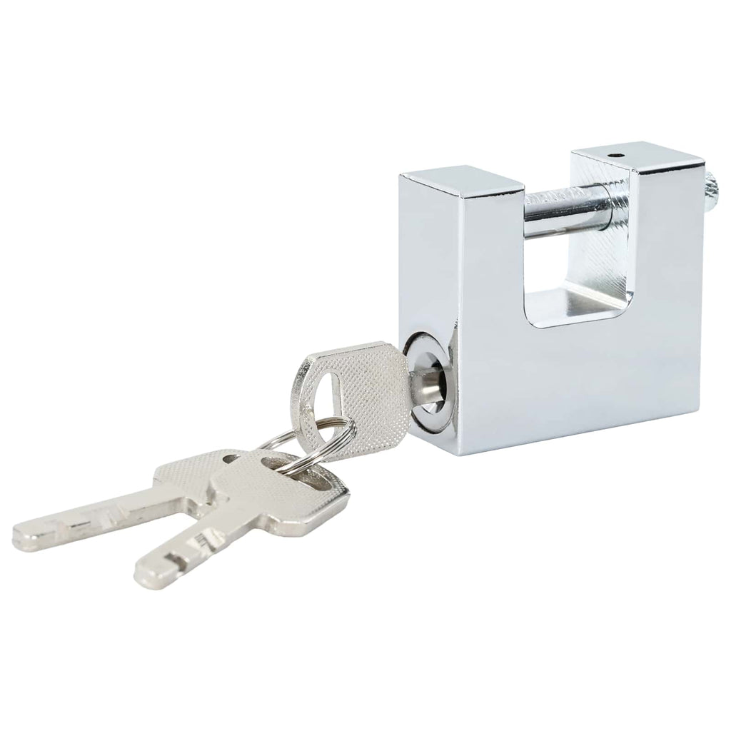 vidaXL Vorhängeschloss 2 pcs Silber Stahl