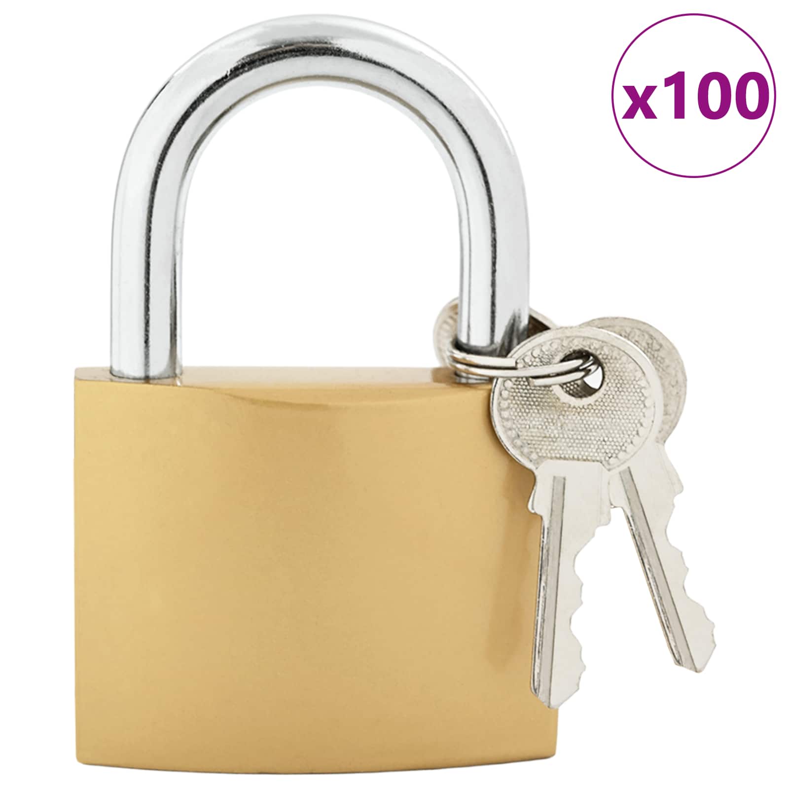 vidaXL U Schloss mit Schlüsseln Messing 6 x 2 x 9,1 cm Eisen